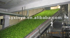 Vegetable Fruit Dehydrator