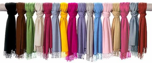 Pashmina Scarves