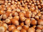 Hazelnuts