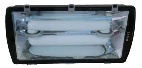 Induction Light Flood Lamp