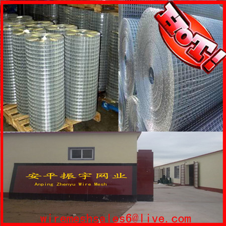 Galvanized Welded Mesh