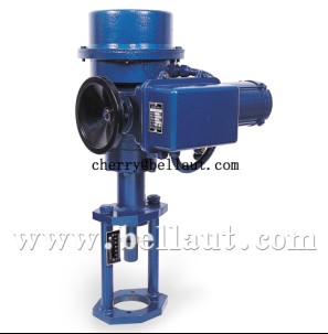 Electric Valve Actuator