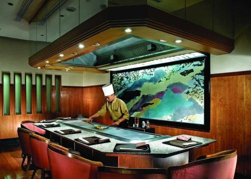 Electric Teppanyaki Grill