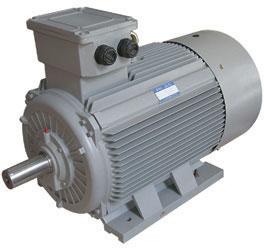 Electric motor