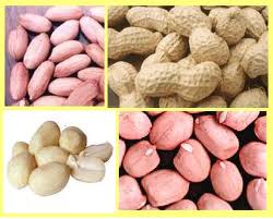 Groundnut, Peanuts