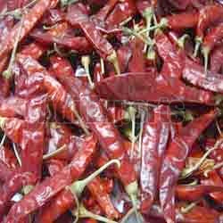 Organic Dried Red Chilli, For Cooking, Fast Food, Sauce, Packaging Type : Loose, Plastic Packet