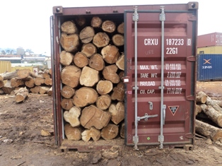Sudan Teak Logs