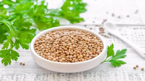 Coriander Seeds, Packaging Type : Bulk