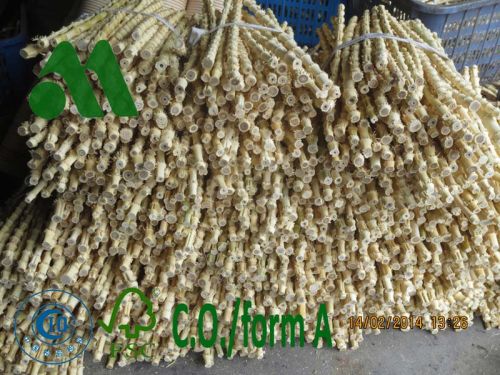 Bamboo Root Stick, Packaging Type : Naturl