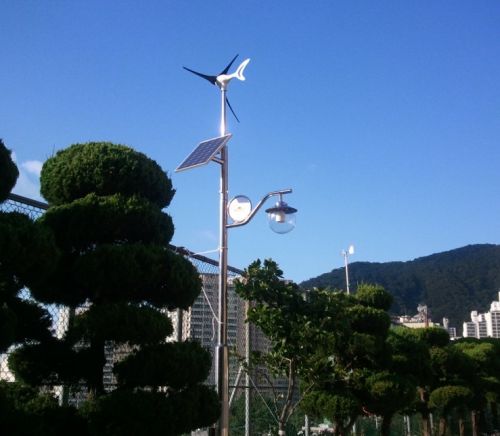 Wind Turbine Generator 300w