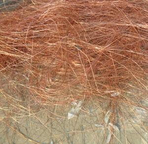 Copper wire scrap, Packaging Type : Loose
