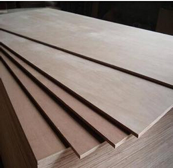 Commercial plywood, Wood Type : Hardwood