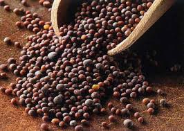 Mustard seeds, Quality Available : A Grade