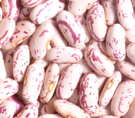 Light Speckled Kidney Bean