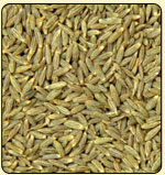 Black Cumin Seeds, Quality : Grade 1