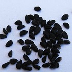 Cumin Black Seed