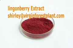 Lingonberry Anthocyanin