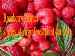 Red Raspberry Anthocyanin