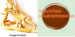 Tongkat Ali Extract