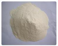 High Protein Wheat Gluten Meal