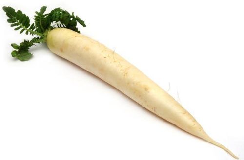 Fresh Radish
