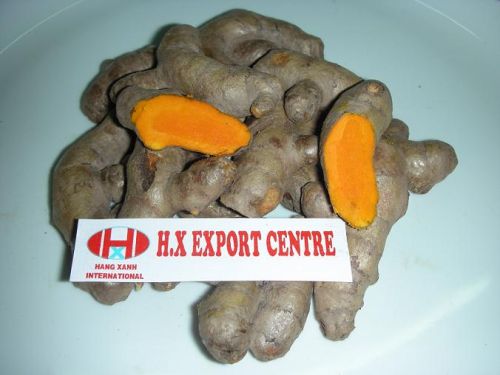 Fresh turmeric Form : Powder