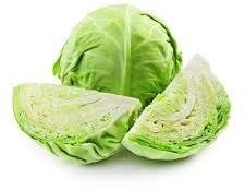 Fresh Cabbage