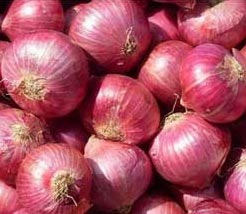 Fresh Red Onion