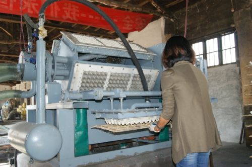 Various Paper Tray Pulp Molding Machinery