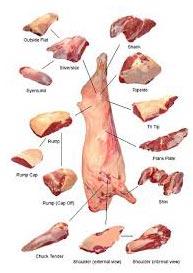 Frozen Buffalo Meat (Fore Quarter, Blade, Silver Side, Offals-Tongue)