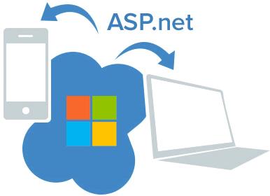 Asp.net Application Development Services