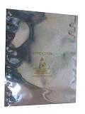 Antistatic Bag