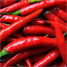 Common Fresh Red Chilli