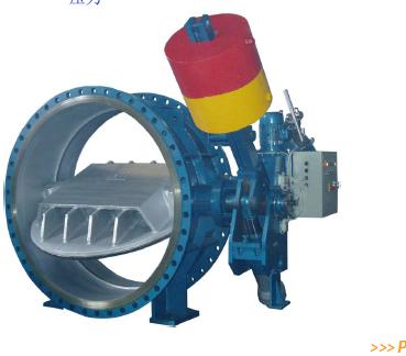Butterfly Valve For Hydroelectric Power Plant