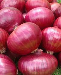 Fresh Big Red Onion