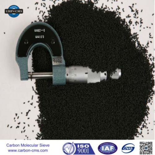 Methane Enrichment Using Molecular Sieve