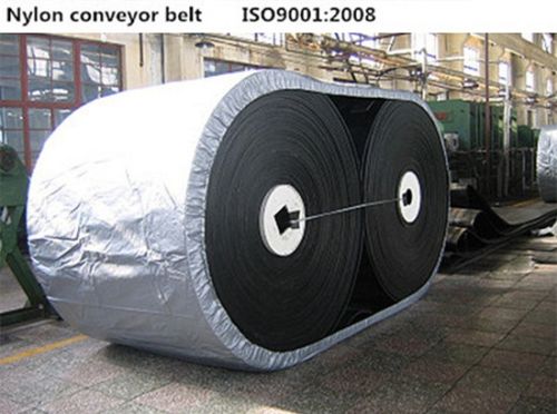 Nylon Conveyor Belt, Packaging Type : Black