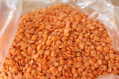 Best Offer For Split Yellow / Red Lentils For Sale Green Lentils