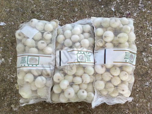 Fresh White Onions, Certification : ISO9001