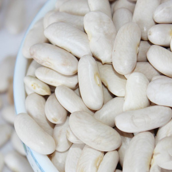 High Quality HPS Long Shape White Kidney Beans