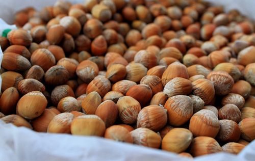 Organic Raw Hazelnut Without Shell, Grade : High Grade