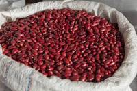 Red kidney beans, Packaging Type : bags