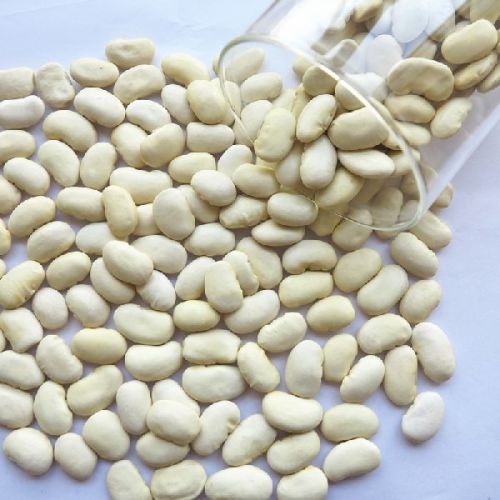 White kidney beans, Packaging Size : 3, Packaging Type : bags