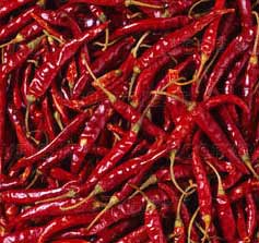 Dry Red Chilli