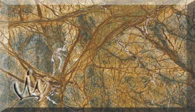 Rainforest Brown Marble