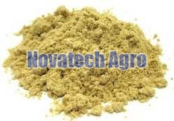 Rice Bran, For Cooking, Form : Powder