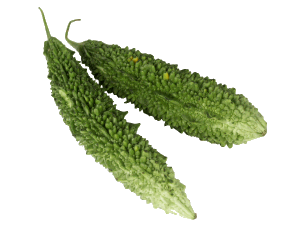 Karela, Speciality : Bitter, Nutritious, Green for Cold Store