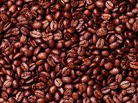 Robusta Coffee