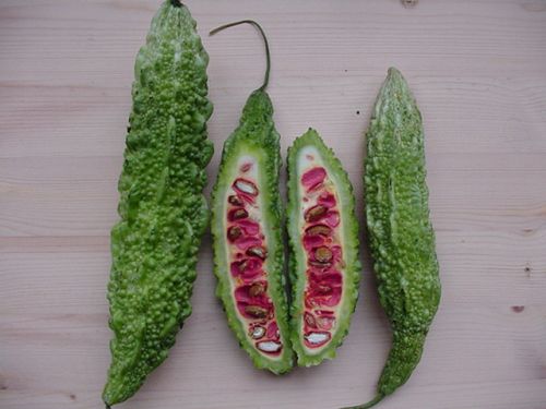 Karela (Momordica Charantia)