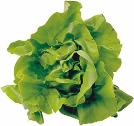 Leafy Vegetables